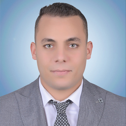 Mohammed Arafa's profile picture