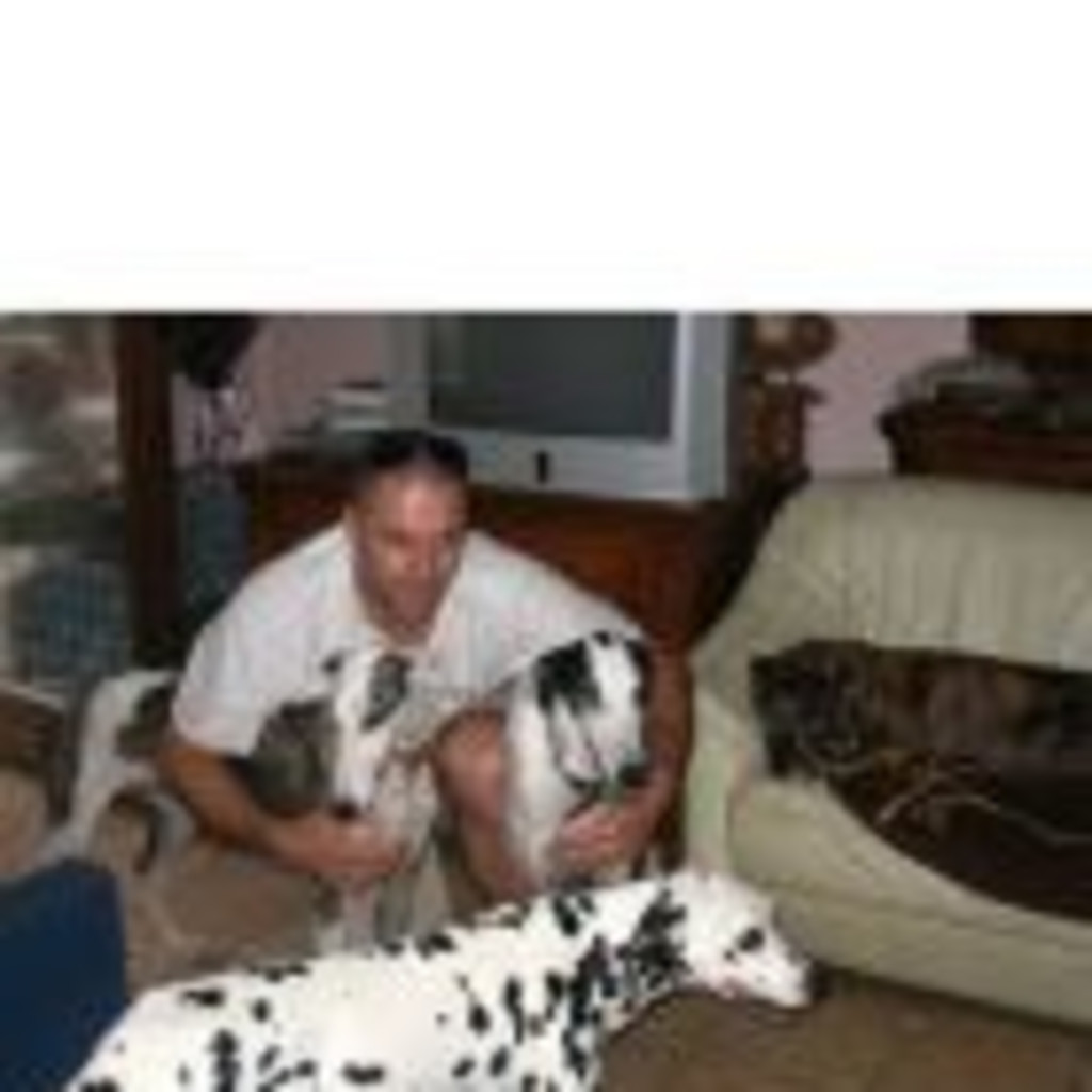 Robert Hansen Geschäftsführer 360 Grad Gebäudereinigung XING