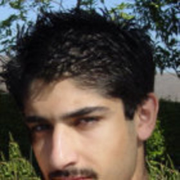Seyed Ahmad