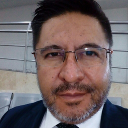 Jose Javier Ramirez Gonzalez