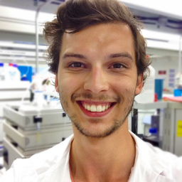 Philipp Osterwalder's profile picture