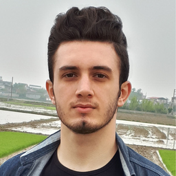Hamed Hatami