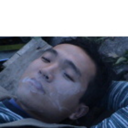 敌Wudi 王Wang
