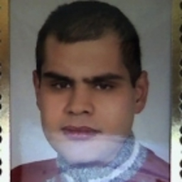 Naci Erdem Dinler