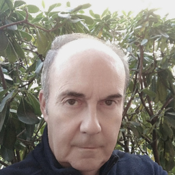 Stefano Giovacchini