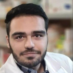 hamed rajabi