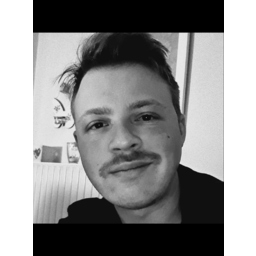 Julian Reudink