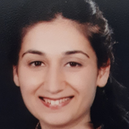 yasemin Ayna