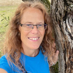 Silke Kober's profile picture