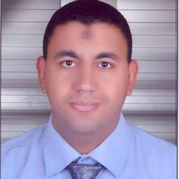 Abdelsatar Mohamed