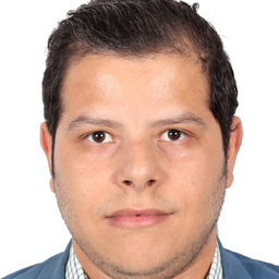 walid elnady