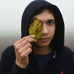 Ali Maher