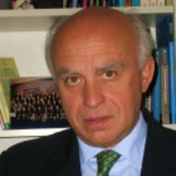 RAFAEL FERNANDEZ-ALMAGRO LOZANO