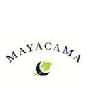 Maya Cama