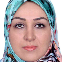 Nafiseh Shahbazi
