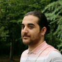 Alireza Hamoony Haghighat