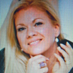 Iris Bruin 
