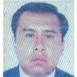 LUIS VILLANUEVA