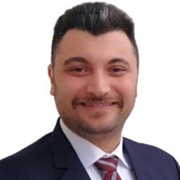 Mohammadhossein (David) sotouhian