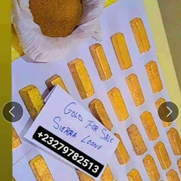 Mohammed Ali Bangura