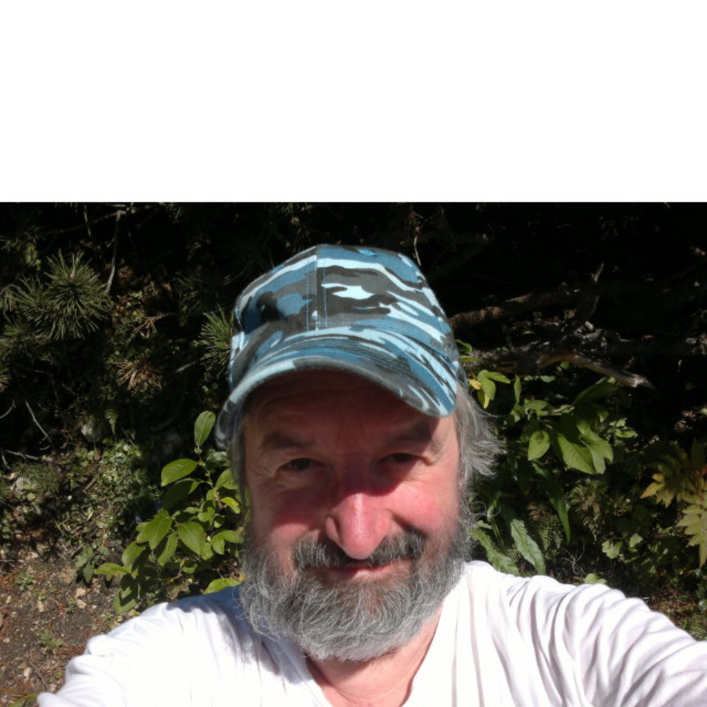 Heinrich Vetter modellbau / kunst www.lasermodellbau.at XING