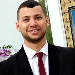 Ing. Elyes Mejri