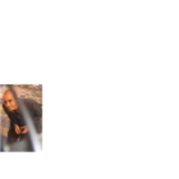 Bilal Bahcivan's profile picture