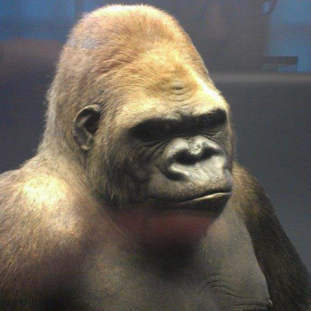 Matthias Puppe Reporter Aktuell / Daten Leipziger Volkszeitung