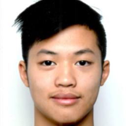 Profilbild Duc Anh Tran