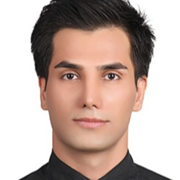 Profilbild Ali Alipour