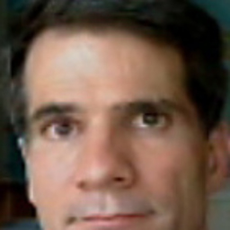 Tibor A. Palatinus