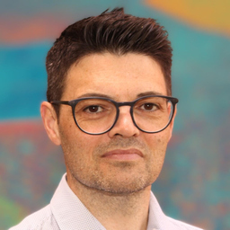Nico Schmidt
