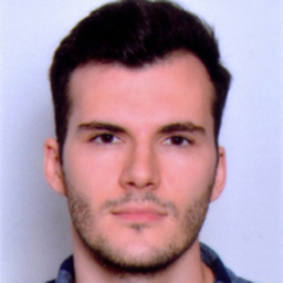 Nikola Andric Mitrovic