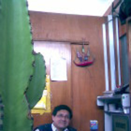 roberto puemape cama