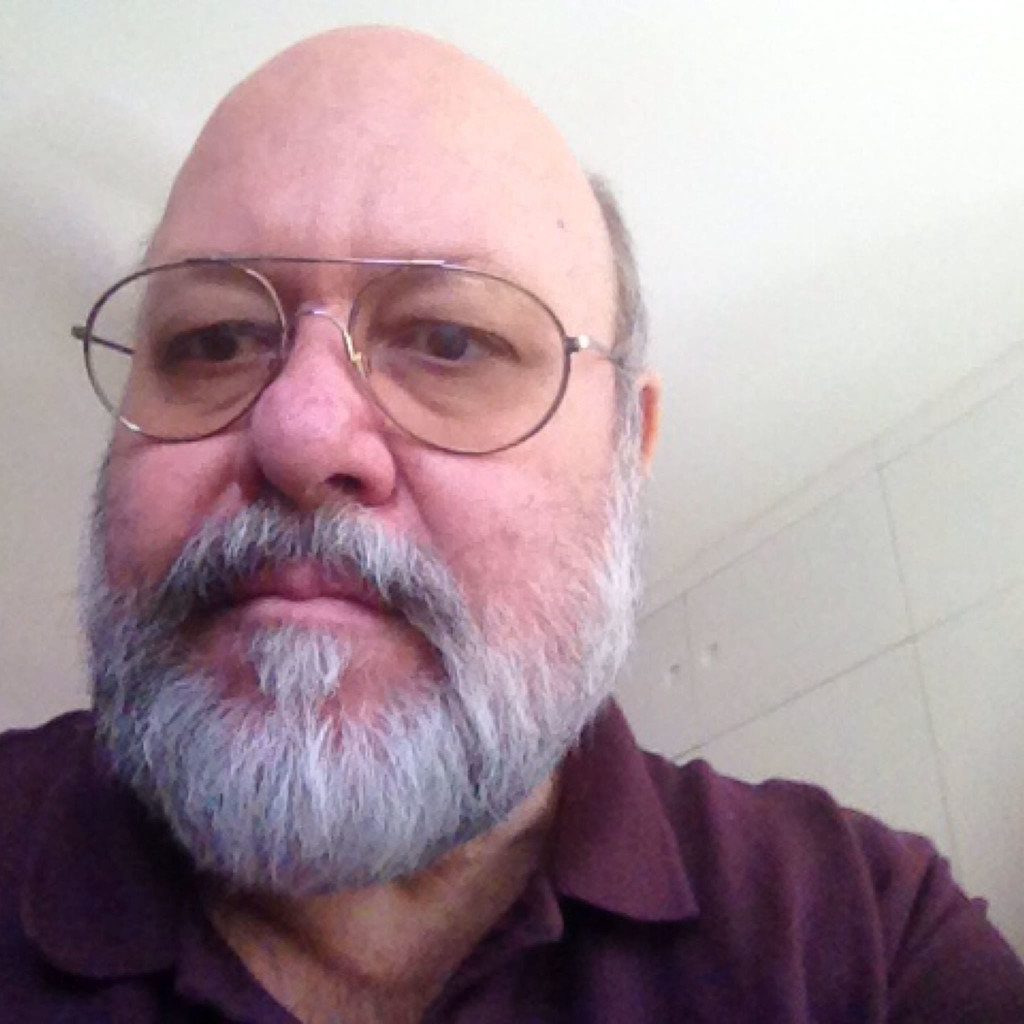 Wolfgang Wild professor, tradutor e intérprete D BR D autônomo