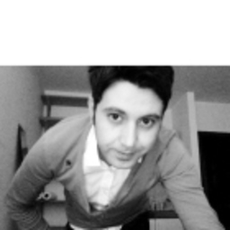 Prof. Burak Levi