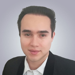 Diego Javier Sarmiento Sanchez
