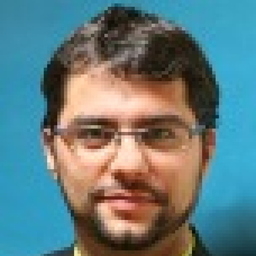 Raul Diez Martinez
