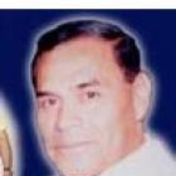 jose luis Allemant Bueno