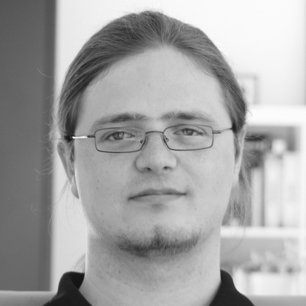 Johannes Haubold SoftwareEntwickler megorei Software GmbH XING