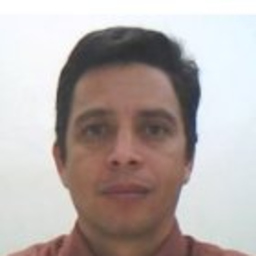 Prof. Juan Manuel Melendez Garcia