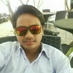 Ing. Mohit Sanger