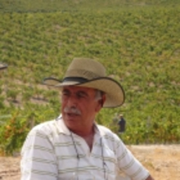 Ali Doğan BUDAK