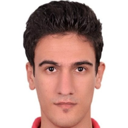 Abdelrahman Gamaleldin