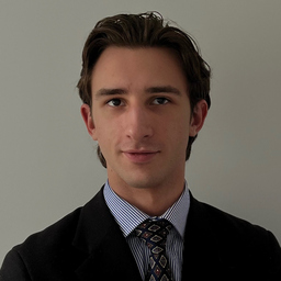 Lavrin Maik's profile picture