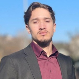 Mehdi Gaudin