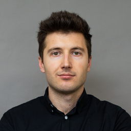 Ionut CURMEI