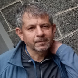 selim robin