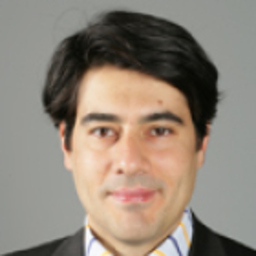 Fabio Meriggi