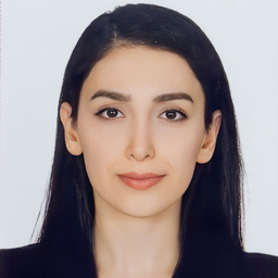 Elif Çetin